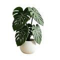 Monstera Leaf 3D Printed Coasters, Non-Slip Anti-Scald Plant Drink Mats, Tropical Desk Bar Kitchen Decor